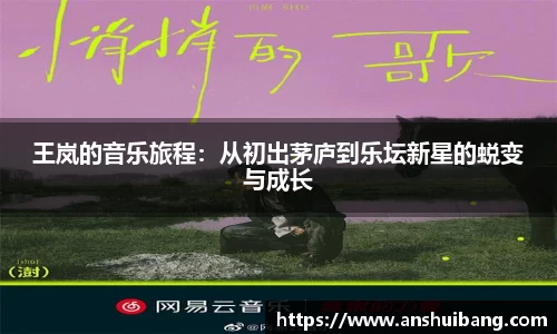 王岚的音乐旅程：从初出茅庐到乐坛新星的蜕变与成长